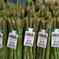 Kualitas Tinggi Asparagus Segar Sayuran Kaleng Kaleng Panggang Acar Putih Asparagus untuk Dijual