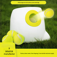 Meilleur lanceur de balles de tennis interactif de petite taille pour l'entraînement des chiens, design moderne en plastique, vente en gros à chaud, emballé dans un carton fabriqué