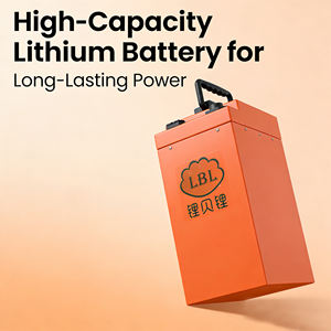 60V 50Ah LiFePO4-batterij met geïntegreerde BMS-technologie, fabriekslevering voor 2-wiel & <span class=keywords><strong>3</strong></span>-wiel EV-swap - Product Image 1