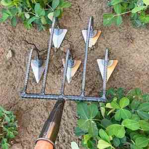 Đa-<span class=keywords><strong>tine</strong></span> có thể điều chỉnh tu cuốc với 2/3/5 <span class=keywords><strong>tine</strong></span> tùy chọn cho chuyên nghiệp làm cỏ và đất chuẩn bị - Product Image 2