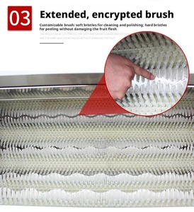 <b>Vegetable</b> Washer Stainless Steel Industrial Brush Peeling Machine for Carrots Potatoes Radish Sweet Potato 20 kg/h 380 V - Product Image 4