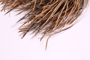 Mái Lợp Lá Nhân Tạo Pe Tổng Hợp, Mái Lợp Lá Dừa Nhà Xây Dựng Ở <span class=keywords><strong>Chennai</strong></span> - Product Image 6