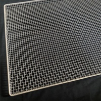 Grille de gril de barbecue en acier inoxydable 304 moderne de haute qualité