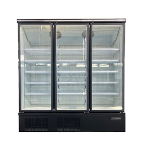 Réfrigérateur Vitrine Supermarché, Congélateur Vertical, Présentoir Réfrigéré pour Boissons, Série DDU, Armoire Multidecks Verticale D - Product Image 3