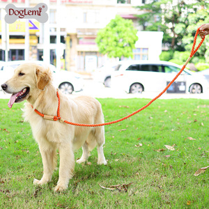 Correa para Perro Resistente, Correa de Entrenamiento Antitirones, Correa de Cuerda Trenzada Resistente, Correa de Poliéster Estampada de Estilo Lujoso y Ecológico - Product Image 6