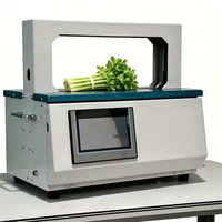 Machine à cerclage de bureau la plus vendue 20/30 mm pour papier/OPP, idéale pour les colis e-commerce des petites entreprises