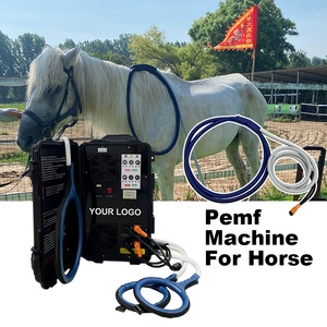 เครื่อง PEMF แบบสองช่องสัญญาณสำหรับม้า ใช้เพื่อผ่อนคลายกล้ามเนื้อที่ตึง และเพิ่มความยืดหยุ่นและความคล่องตัวของข้อต่อ - Product Image 1