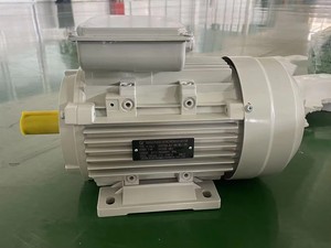 Moteur électrique à induction monophasé série MY 0,18 kW 2P, boîtier en aluminium, protection IP54/IP44, efficacité IE2, 220 V pour pompes - Product Image 6