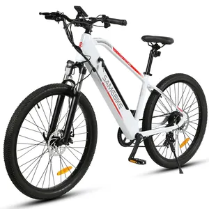 500w 전기 자전거/전기 자전거/전기 자전거/전기 자전거
