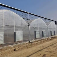 Serre agricole multi-travées en film plastique 200 microns, kits de tunnels de serre pour l'agriculture verticale de légumes