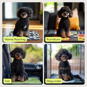 Hochwertige weiche extra große rutsch feste kunden spezifische Großhandel wieder verwendbare wasch bare Haustier Welpen Pee Pads Pet Pee Mats und Pads für Hunde - Product Image 5