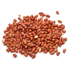 Ingrédient de collation premium : cacahuètes fraîches, ingrédient de collation à base de noyaux de cacahuètes, ingrédient de collation nouvelle récolte, cacahuètes pour l'exportation. - Product Image 1