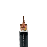 Câble d'alimentation en cuivre XLPE robuste ZC-YJV 0.6/1kV 3x120+2x70mm² pour les sub-stations urbaines du Moyen-Orient