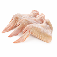 Ailes de poulet entières congelées en vrac, halal, IQF, drumette à pointe plate pour barbecue, restaurant, exportation de volailles de qualité supérieure