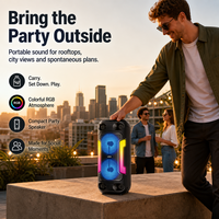 HANSUO HS-TD04A8 Enceinte portable double 4 pouces pour fêtes avec batterie 1800 mAh, lumières RGB, USB, radio FM, enregistrement et télécommande