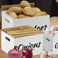 Ensemble de récipients de stockage de cuisine blancs de ferme bac de stockage de pommes de terre en bois oignon ail avec couvercle