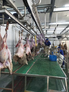 Equipo de matanza de ovejas <span class=keywords><strong>Ritual</strong></span> 1000 línea de matadero Halal de cordero para matadero de cabras - Product Image 2