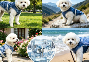 Chaleco Refrigerante Transpirable para Perros, Chaqueta Ligera con Protección Solar, Chaleco Refrigerante Suave para Mascotas, Alivio del Calor de Verano, Uso en Paseos y Entrenamientos al Aire Libre - Product Image 4