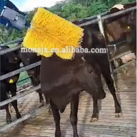 Vache bétail corps brosse vache Massage chatouiller Machine cheval brosses pour ensemble de toilettage