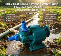 Bomba Eléctrica de Hierro Fundido de Alta Presión TB40-2 para Riego Agrícola, Motor de CC y Paso a Paso, Soporte OEM Personalizado