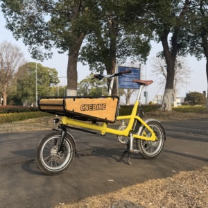 Bicicletta Elettrica da Carico OEM all'Ingrosso con Freno Idraulico, Bici da Trasporto Pesante per Logistica Commerciale - Product Image 2