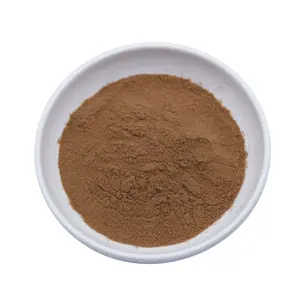 Braunalgen-Seetang-Extrakt 10%-50% Fucoxanthin-Extrakt-Pulver