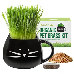 Kedi çim büyüyen kiti organik buğday siyah kedi kupa ekici ile hayvan mama kabı kedi çim