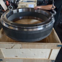 Vente directe d'usine Salmatec 700.100 Pièces de rechange Anneau matriciel pour machine à fabriquer des granulés de bois