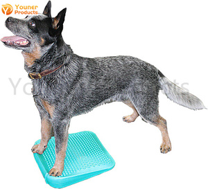 Equipo de entrenamiento para perros, rampa de equilibrio para caminar al aire libre, parque de perros personalizado - Product Image 1