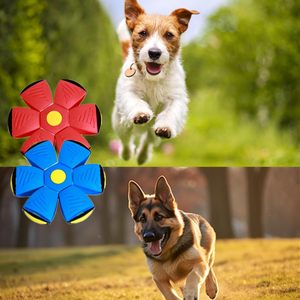 Balle interactive pour chien à lancer au pied ou à la main, jouet de dressage pour chien, balle rebondissante pour extérieur - Product Image 5