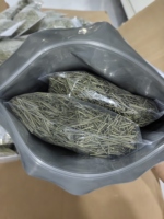 Petit paquet couleur verte nouvelle aiguille de pin thé santé feuilles de pin coupe tisane à vendre