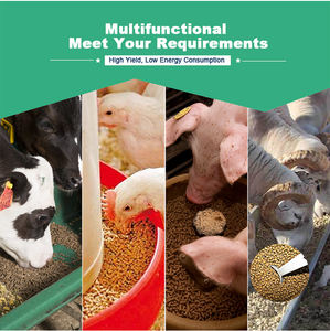 Nueva Máquina Peletizadora de Acero Inoxidable para Alimentación de Vacas Lecheras, Ganado Vacuno, Terneros y Aplicaciones Generales en Ganadería - Product Image 6