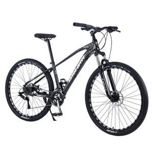 Vélo VTT en Alliage de 29 Pouces Bonne Qualité Vente Chaude Chinois pour Homme – Expédition Pakistan Phillips Népal Ghana Turquie - Product Image 3