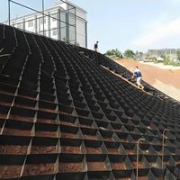 Настраиваемые геоячейки из HDPE для подпорных стен |   Множество спецификаций: высота, расстояние между сварными швами, цвет по запросу.
