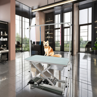 Table de toilettage pour animaux de compagnie avec éclairage LED électrique, réglable en hauteur, avec bras de toilettage