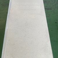 Feuilles de surface solides acryliques pures Corians Staron de 6mm 12mm 20mm Pmma 100%