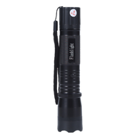 Lampe torche 1101, vente en gros directe usine, en aluminium, UV, tactique, porte-clés, portable, pour clé de voiture, à ouverture rapide, rechargeable, DDP