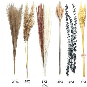 Ramo de Hierba de Pampas para Decoración del Hogar, Bolsa de Año Nuevo, Decoración de Pascua, Soporte de Flores de Hierba de Tacto Natural, Venta Al por Mayor - Product Image 6