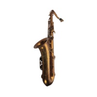 SEASOUND OEM High Quality Tenor Saxophone JYTS113CFMT BB Tone Coffee Matt Finish with Waterproof Case Wind Instrument