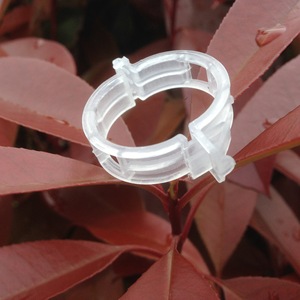 Clip de fixation en plastique pour plantes de tomates, outil de jardinage transfrontalier pour semis et bonsaïs - Product Image 4