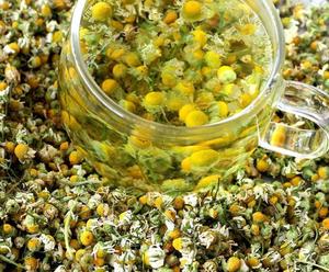 Manzanilla de alta calidad para té o decoración, precio al por mayor - Product Image 4