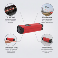 Détecteur de méthane laser portatif HIREP TDLAS, analyseur de fuite de gaz à distance, IP65, surveillance de la sécurité du CH4, portée de 60 m