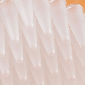 แผ่นไมโครเพลท <span class=keywords><strong>PCR</strong></span> แบบครึ่งกระโปรงใสขนาด0.1มล. 0.2มล. ครึ่งแผ่น - Product Image 3