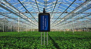 RS485 Modbus LoRa LoRaWAN Capteur de salinité EC de température d'humidité du sol 4 en 1 pour l'agriculture et la ferme - Product Image 4