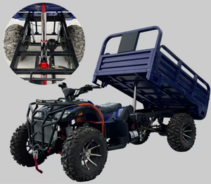 Moto da Montagna Fuoristrada 300cc a Benzina, Veicoli Agricoli con Trazione Integrale per Fattoria - Product Image 5