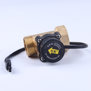 HT800 โฟลว์สวิตช์ 1 นิ้ว ทองเหลือง 220V 4A ชนิดเซ็นเซอร์แบบปรับได้สำหรับระบบน้ำ - Product Image 4