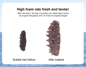 Bán Buôn Phúc Kiến Senegal Biển Dưa Chuột Động Vật Biển Dưa Chuột Người Mua - Product Image 3