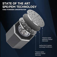 Bouteille d'eau à hydrogène portable intelligente alimentée par batterie 5000ppb Utilisation domestique en extérieur Capacité de 220 ml Sûr Efficace Direct usine