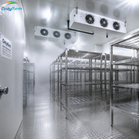 Chambre froide industrielle à congélation rapide pour poisson, congélateur à marche piétonne à basse température