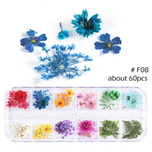 <span class=keywords><strong>3D</strong></span> Nail Dry Flower Mix Daisy <span class=keywords><strong>Girasol</strong></span> Flores secas naturales <span class=keywords><strong>Uñas</strong></span> - Product Image 4